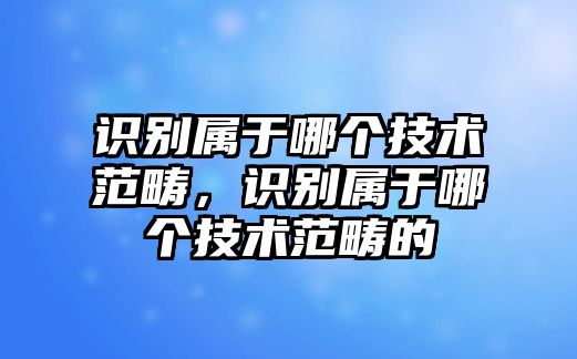 識(shí)別屬于哪個(gè)技術(shù)范疇，識(shí)別屬于哪個(gè)技術(shù)范疇的